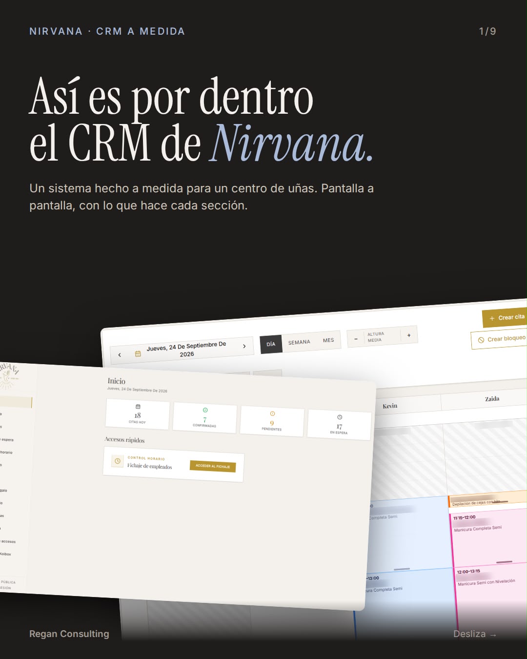Vista del sistema de Nirvana Nail Studio publicada en Regan Consulting
